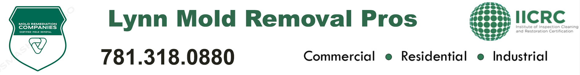 Lynn Mold Removal Pros